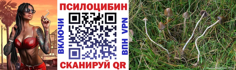 Псилоцибиновые грибы мухоморы  Курск 